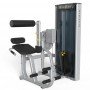 Скручивание / Разгибание спины Matrix Versa VS-S531H